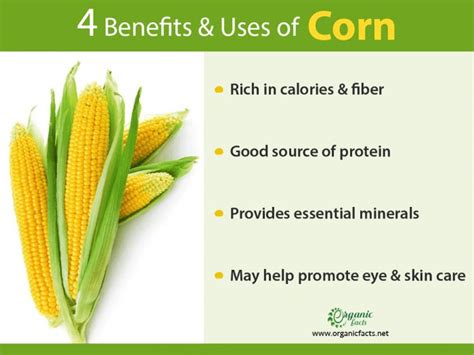 9 Proven Benefits of Corn .